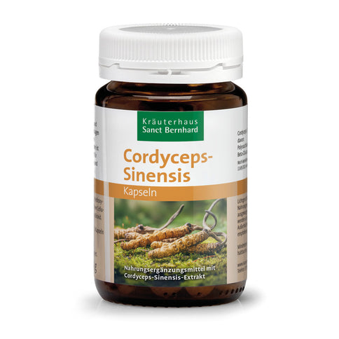 Klininis kordicepsas (Cordyceps sinensis) – pirkti internetu gera kaina